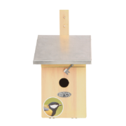 Nest box great tit