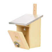 Nest box great tit