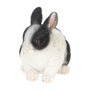 Dwarf rabbit