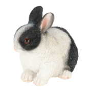 Dwarf rabbit