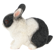 Dwarf rabbit