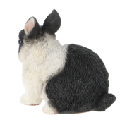 Dwarf rabbit