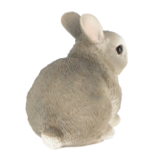 Dwarf rabbit