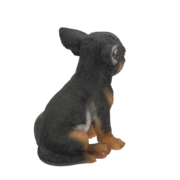 Sitzender Chihuahua Welpe