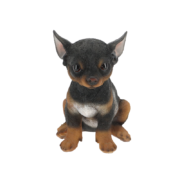 Sitzender Chihuahua Welpe