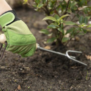 Tuinhandschoen grip & bescherming L