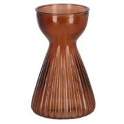 Vase bulbe amaryllis strié