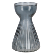 Vase bulbe amaryllis strié