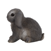 Lapin