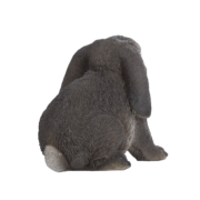 Lapin