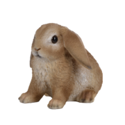 Lapin
