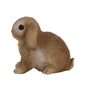 Lapin