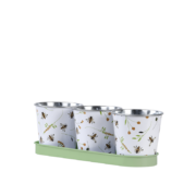 Three pots on tray with bee print