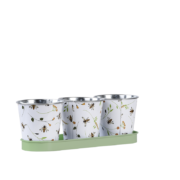 Three pots on tray with bee print