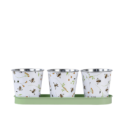 Three pots on tray with bee print
