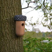 Acorn nesting box