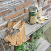 Etiquettes plantes en bois dans un bocal