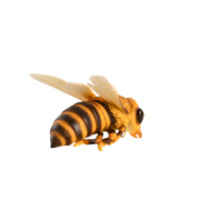Abeille