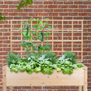 Treillis pour carrés potagers bois naturel L