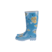 Bottes plage 36/37