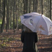 Wintervogel-Regenschirm