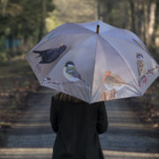 Wintervogel-Regenschirm