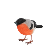 Goudvink