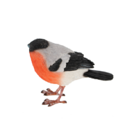 Goudvink