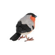 Goudvink