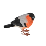 Goudvink