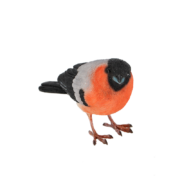 Goudvink