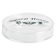 Petrischaal 50 ml