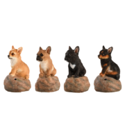 Chiots d'accueil