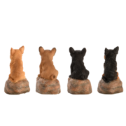 Chiots d'accueil