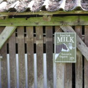 Wellblechschild Milch