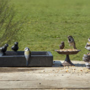 Vogeltränke Terrazzo quadratisch