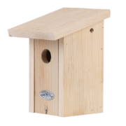 Nichoir troglodyte, boîte cadeau