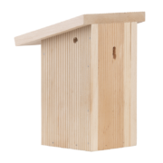 Nichoir troglodyte, boîte cadeau