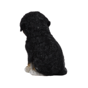 Zittende pup