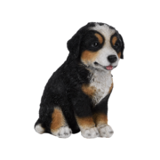 Zittende pup
