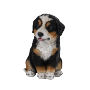 Zittende pup