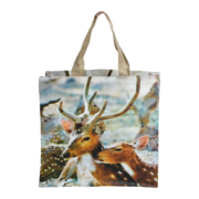 Sac de courses imprimé nature 1