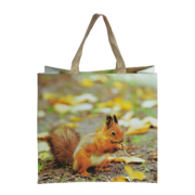 Sac de courses imprimé nature 1