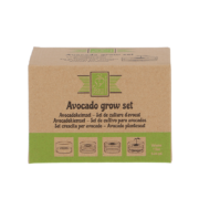 Avocado kweekset