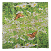 Tissues nature print assortment