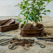 Bonsai snoeischaar S