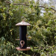 Seed dispenser black copper