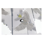 Parapluie transpar oiseaux int/ext