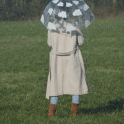 Parapluie transpar oiseaux int/ext