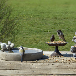 Vogeltränke Beton L